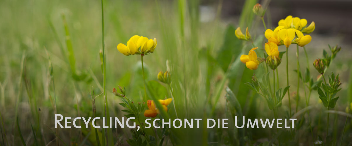 Bild_2_Natur